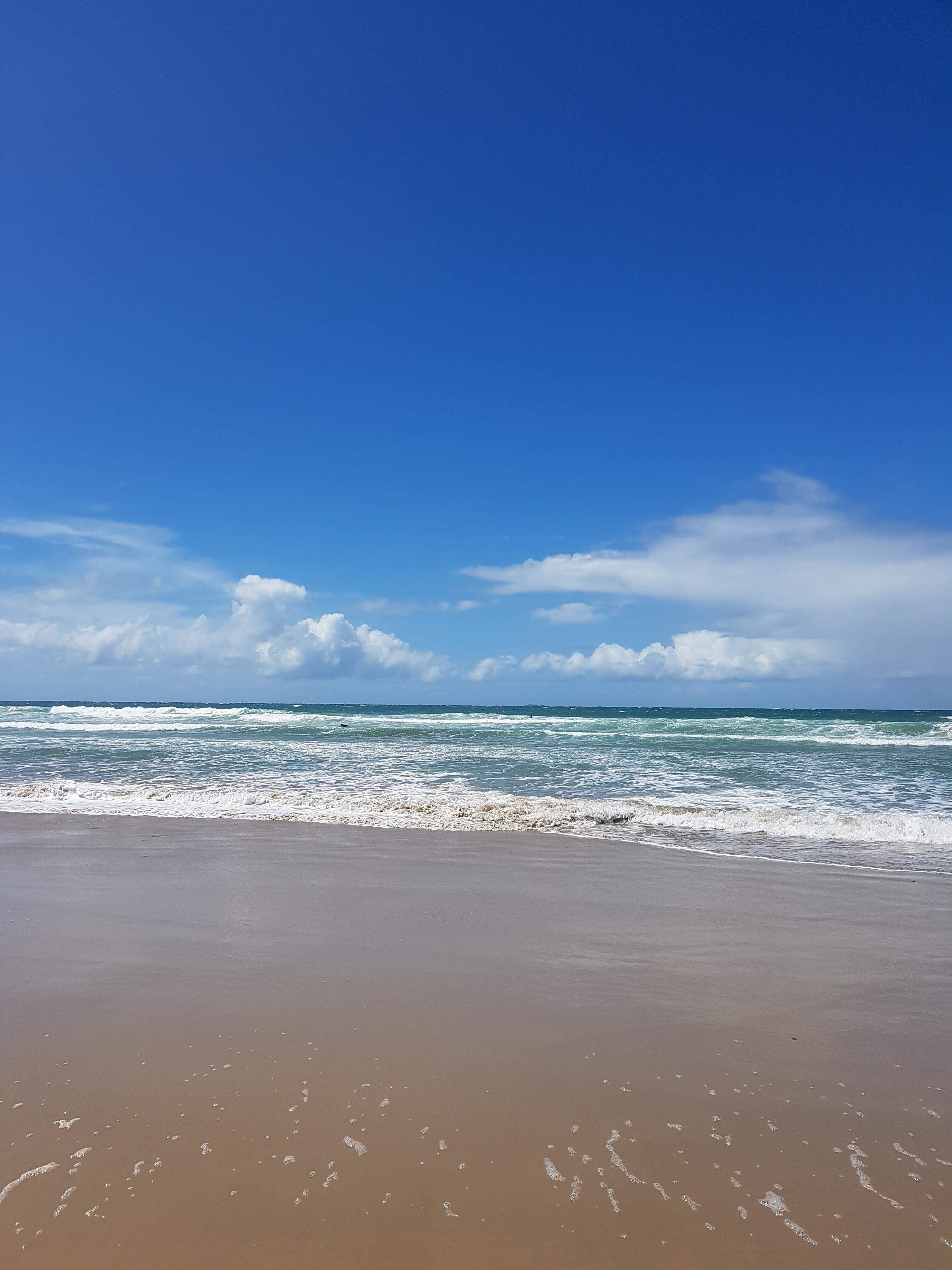 about-me-dan-schreiber